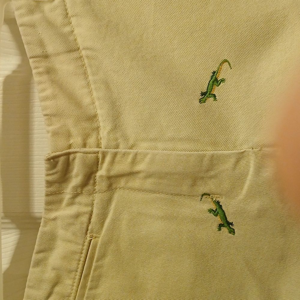 J. Crew Chino Shorts Cream Yellow Green Lizard Gecko Embroidered Cotton Size 4 - Picture 4 of 12